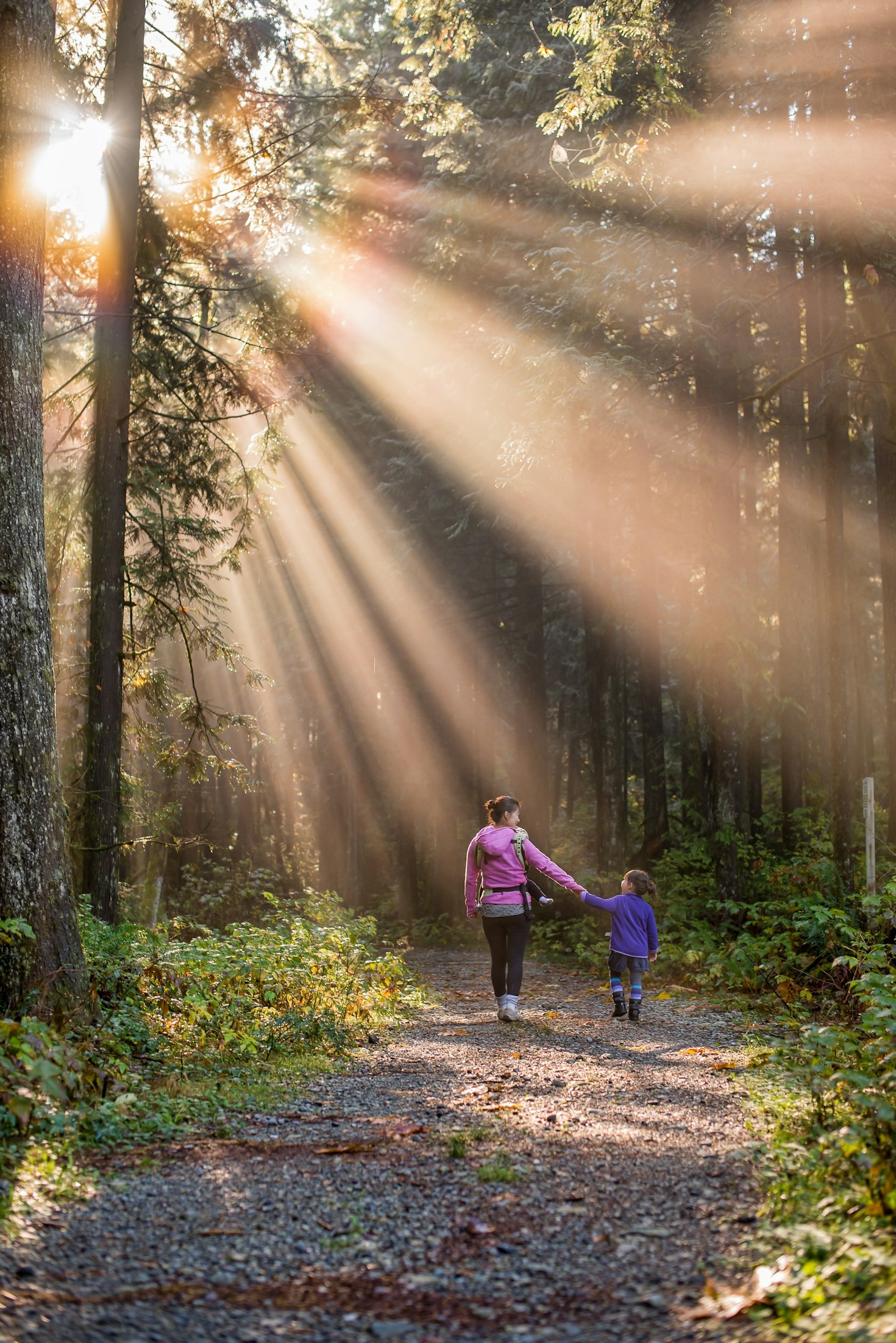 Money Saving Hacks For Large Family Trips